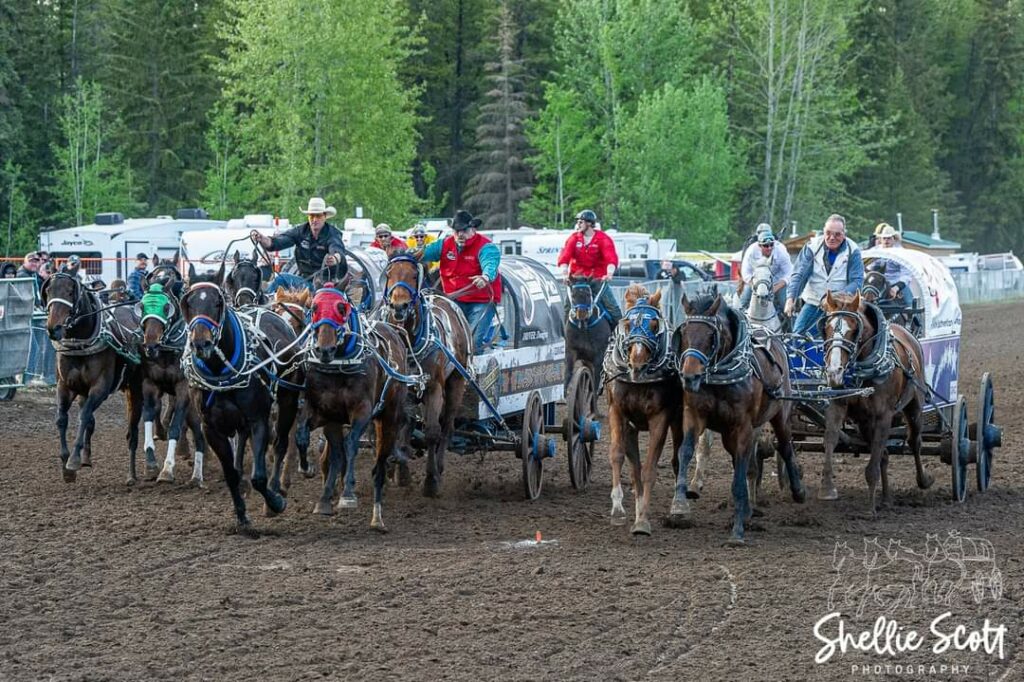 BIG OPPORTUNITY FOR BIDDERS AT THE GRANDE PRAIRIE WPCA TARP AUCTION WPCA