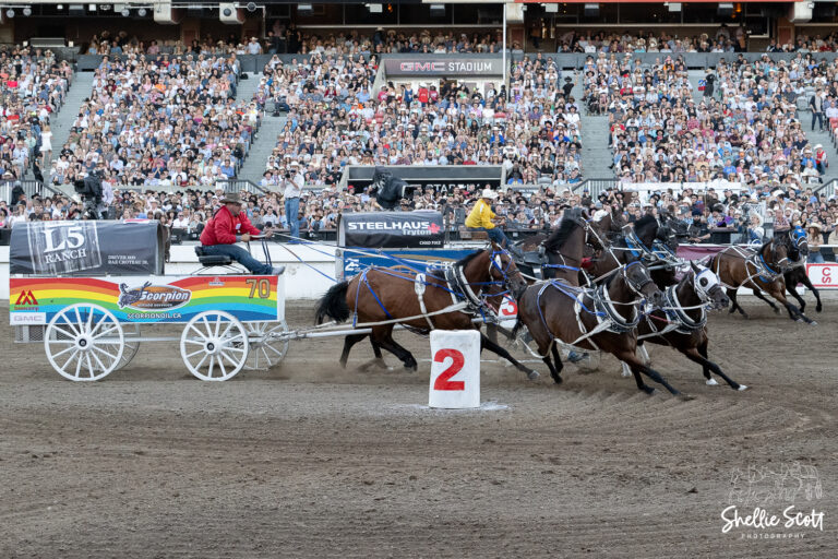 Chanse Vigen, Jamie Laboucane, And Jason Glass In 2025 Rangeland Derby ...