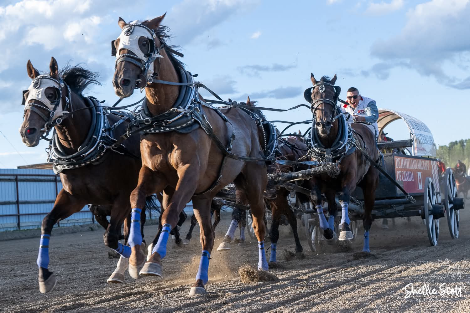 Faithful Set for Breakout Year In 2026 - WPCA